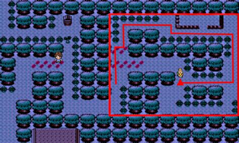 A Puzzle Guide For Catching Farfetchd Pokémon 3d