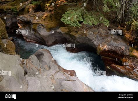 Avalanche Lake Trail In Glacier National Park Usa Stock Photo Alamy