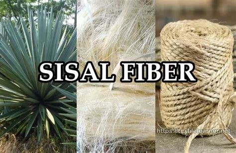 Sisal