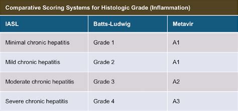 Figure 1 From Evaluation And Staging Of Liver Fibrosis Semantic Scholar