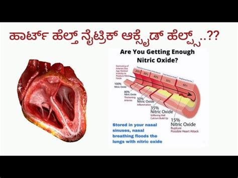 Herbalife Night Work Helps To Cardiovascular System Youtube