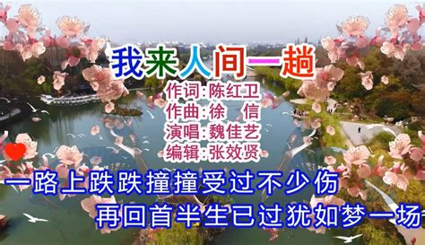 【张效贤爱音乐】魏佳艺演唱的《我来人间一趟》深情好听，单曲循环 2万粉丝1万作品 音乐视频 免费在线观看 爱奇艺