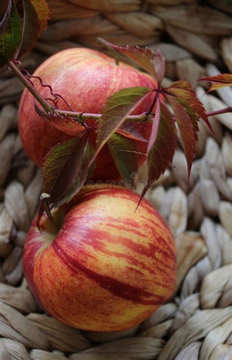 Fondo Brillante Cesta Con Manzanas Rojas Hermosa Textura De Fondo