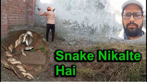 Snake 🐍 Nikal Jate Hai Clean Kra Diya Raviyadavs2 Youtube