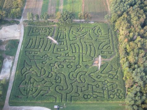 Corn Maze | Long Family Orchard & Farm