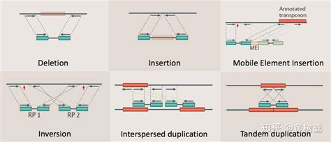 Dna Seq