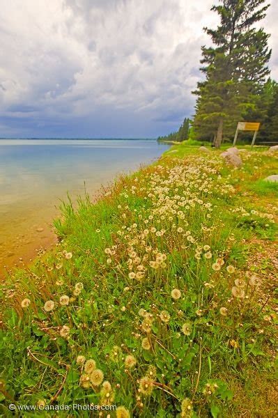 Clear Lake Shoreline Riding Mountain National Park Manitoba Photo