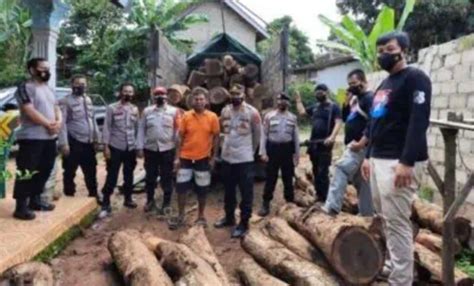 Menyoal Illegal Logging Dan Penegakan Hukumnya