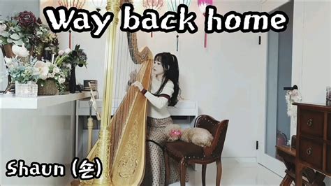 Way Back Home Shaun 숀 웨이백홈 하프연주 Harp Cover Youtube