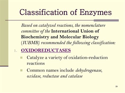 Ppt Enzymes Powerpoint Presentation Free Download Id 6886656