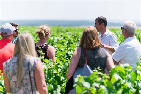 Burgundy Wine Tour From Paris In Chablis With 3 Wineries Cellars And