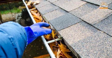 A Complete Guide To Gutter Cleaning Protecting Your Home One Season