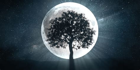 What Are Full Moon Rituals? - How to Create a Full Moon Ritual to ...