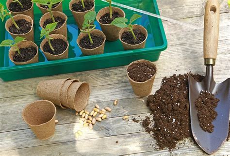 Préparez votre potager pour le printemps Gamm vert