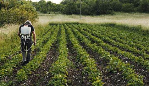 Formation développement Agricole 2025 agriculture et sécurité alimentaire