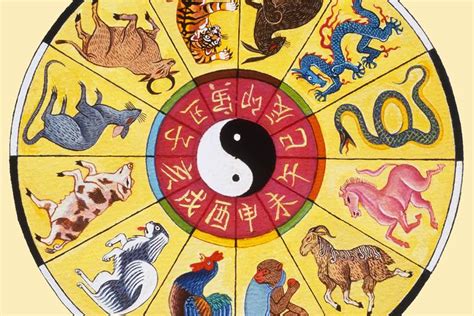 Como Funciona A Astrologia Chinesa