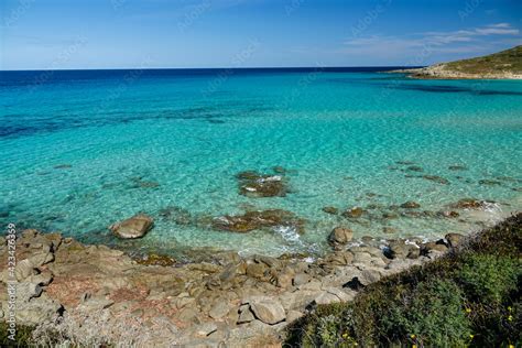 La Plage De Bodri Corbara En Corse Stock Photo Adobe Stock