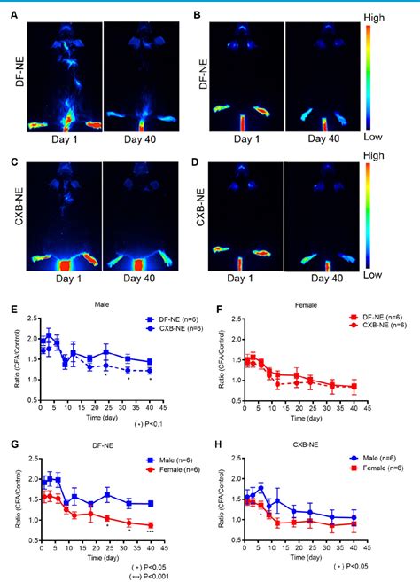 Figure 2 From Sex Differences Revealed In A Mouse Cfa Inflammation