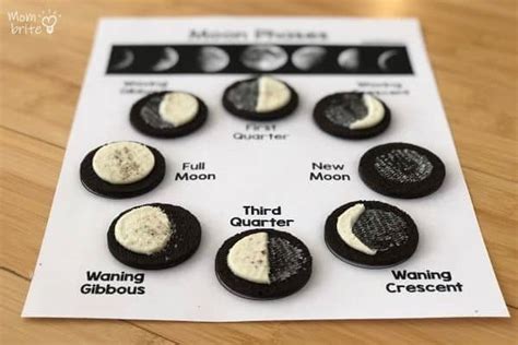 Oreo Cookie Moon Phases Activity [Free Worksheet] | Mombrite