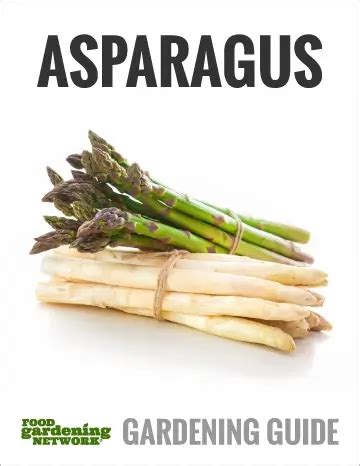 10 Tips for Growing and Harvesting Asparagus - Food Gardening Network