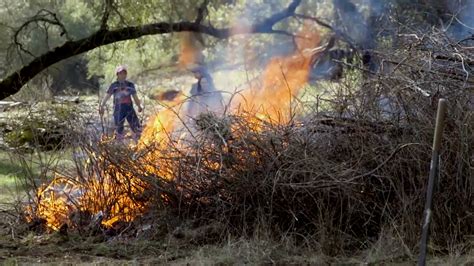 How The Indigenous Practice Of Good Fire Can Help Our Forests Thrive