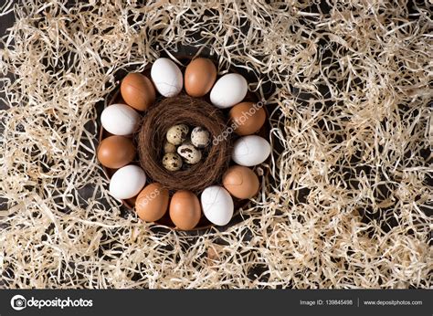 Ovos De Galinha E Codorniz Fotografias De Stock Andrewbedrov