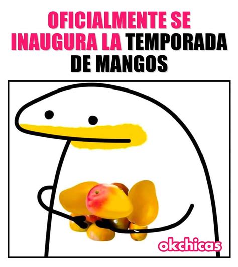 Oficialmente Se Inaugura La Temporada De Mangos Memes