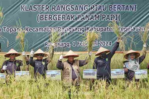 Dampingi Gubri Edy Natar Plt Bupati Hadiri Panen Raya Padi SINKAP