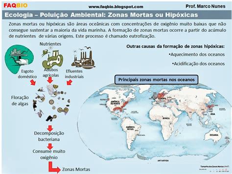 Faqbio Apoio Ao Estudo De Biologia Ficha Resumo Ecologia Zonas