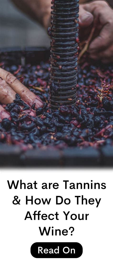 What are Tannins and How Do They Affect Aging? | Wine facts, Wine ...