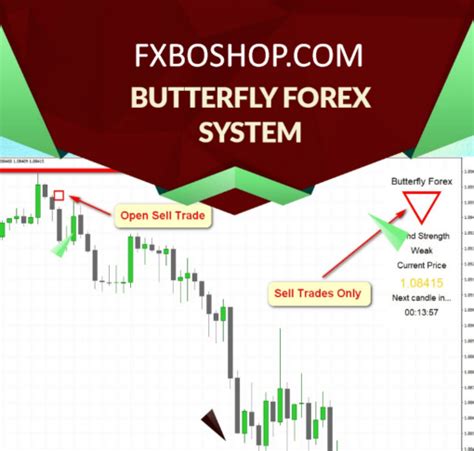 Butterfly forex Real Trend Dominator Forex Software