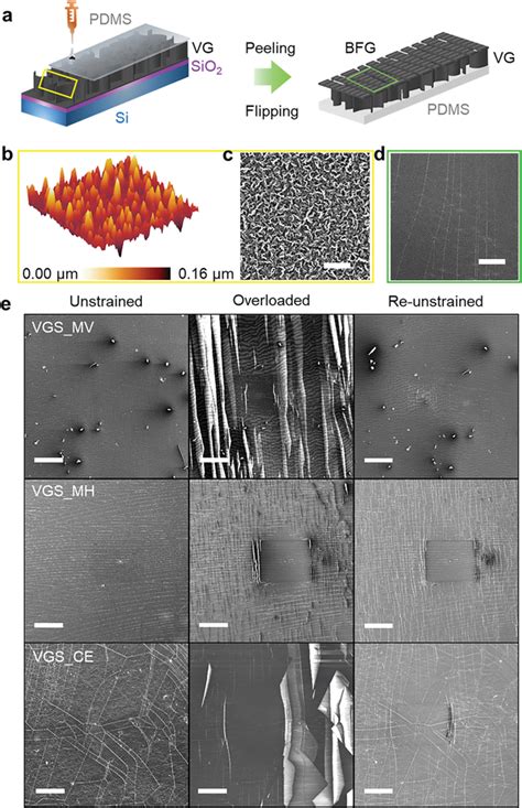 Schematic And Characterizations Of Vgs A Simple Fabrication Procedure