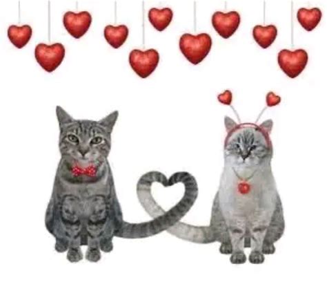 Two Cats Sitting Next To Each Other With Hearts Hanging From The