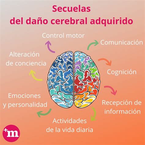 Da O Cerebral Adquirido Encuentra Tu Neur Logo En Masquemedicos