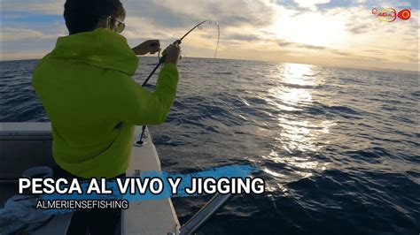 Pesca Al Vivo Y Jiggging Mucha Actividad Youtube