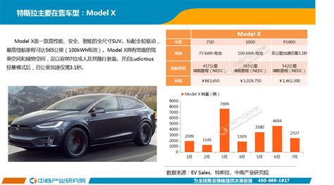 特斯拉中国市场前景研究报告（全文） 中商情报网