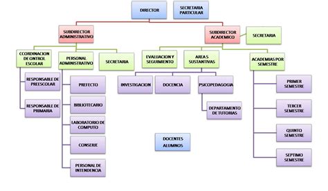 Organigrama De La Escuela Primaria