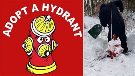 Sfd Is Again Asking The Community To Adopt A Hydrant My Southborough