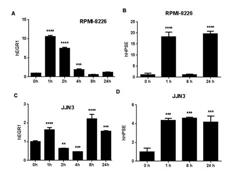 Fgf23 Regulates Mm Gene Expression A And C Fgf23 Induces Egr1