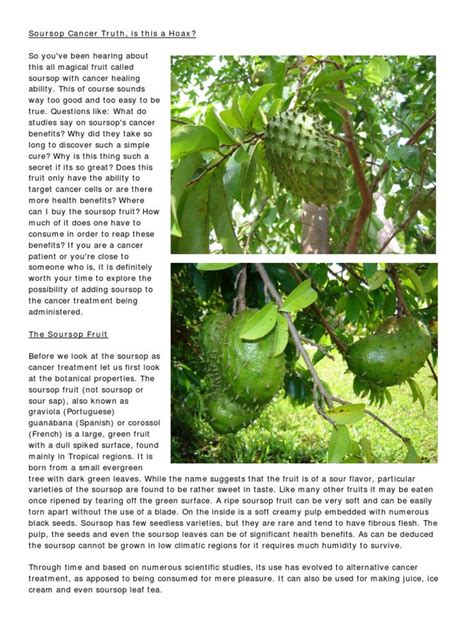 Soursop Cancer Truth | PDF | Radiation Therapy | Cancer