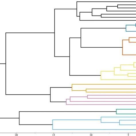 Consensus Molecular Phylogeny Of Taxa In Morphometric Sample Scale Bar