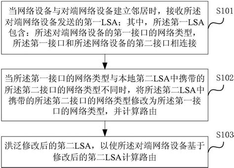 一种网络设备接入网络的方法及装置与流程