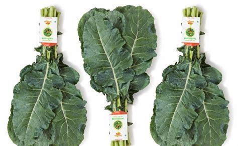 Why Broccoli Leaves May Be The Next Kale Article Fruitnet