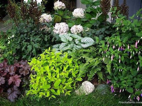 Shade Garden Combo One Of My Shady Garden Corners With Heuchera Coral Bells Fuchsia