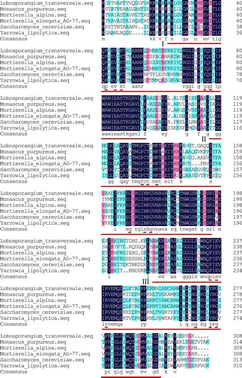 Amino Acid Sequence Alignment Between MaYHM And Reported YHM Sequences