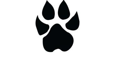 Lion Paw Vector at Vectorified.com | Collection of Lion Paw Vector free ...