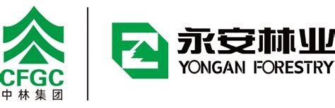 党建工作 福建省永安林业（集团）股份有限公司