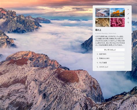 windows windows beta