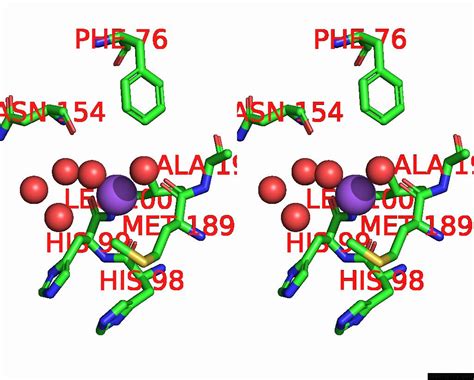 Sodium In Pdb Ryf High Resolution Crystal Structure Of Erap In