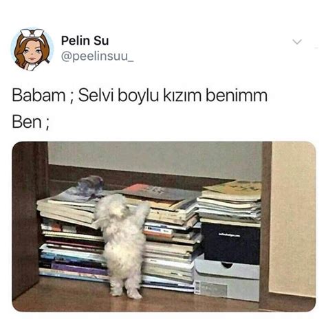 Pinterest Naznkk Komik şeyler Komik Resimler Komik Capsler